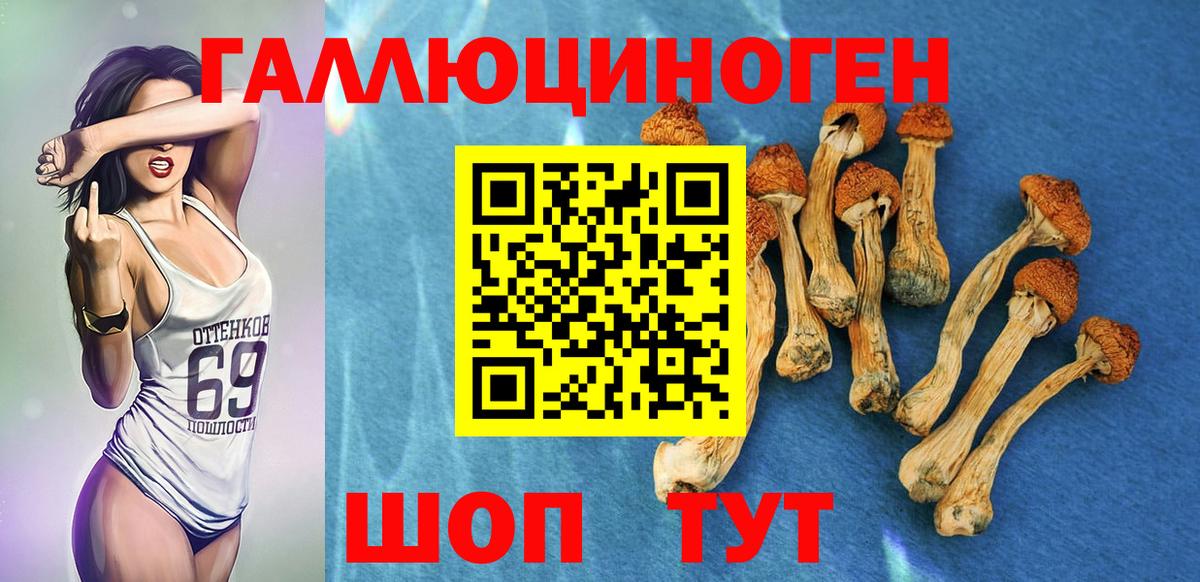 Сорочинск  Галлюциногенные грибы мицелий  Вход с VPN 