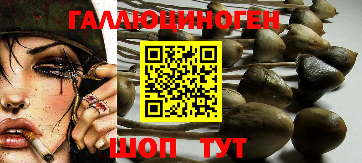 Галлюциногенные грибы Magic Shrooms Сорочинск